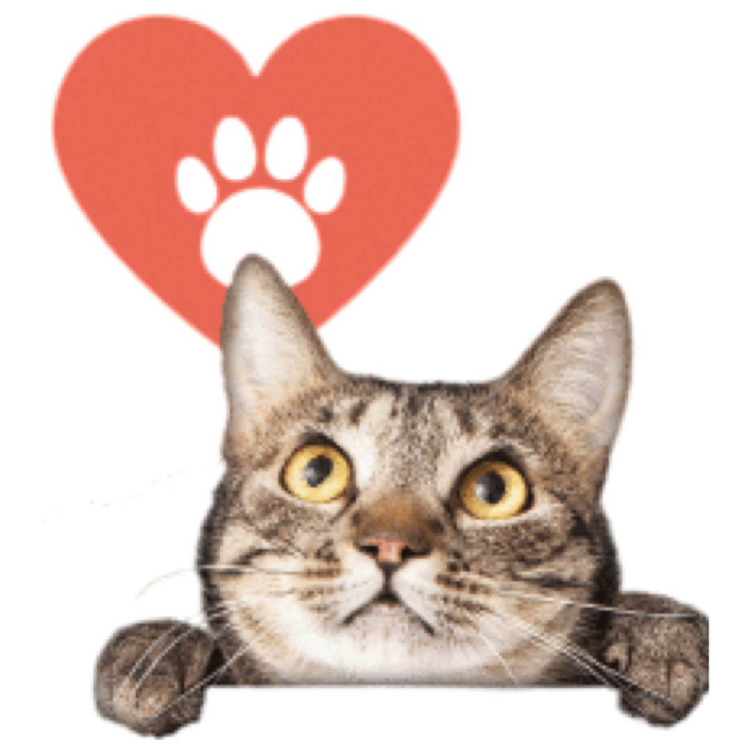 PNG image-5EEF43CC555C-1