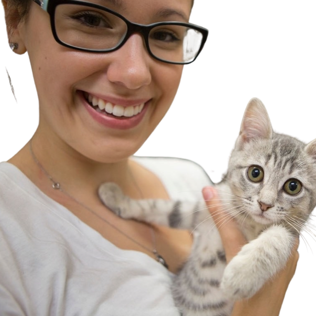 PNG image-D84FC392F6B0-1